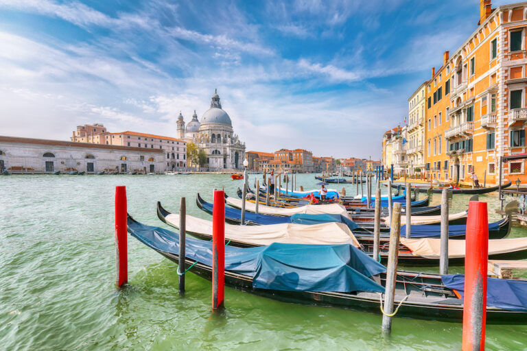 Pont Rialto Venise : histoire, visites et commerces du célèbre pont